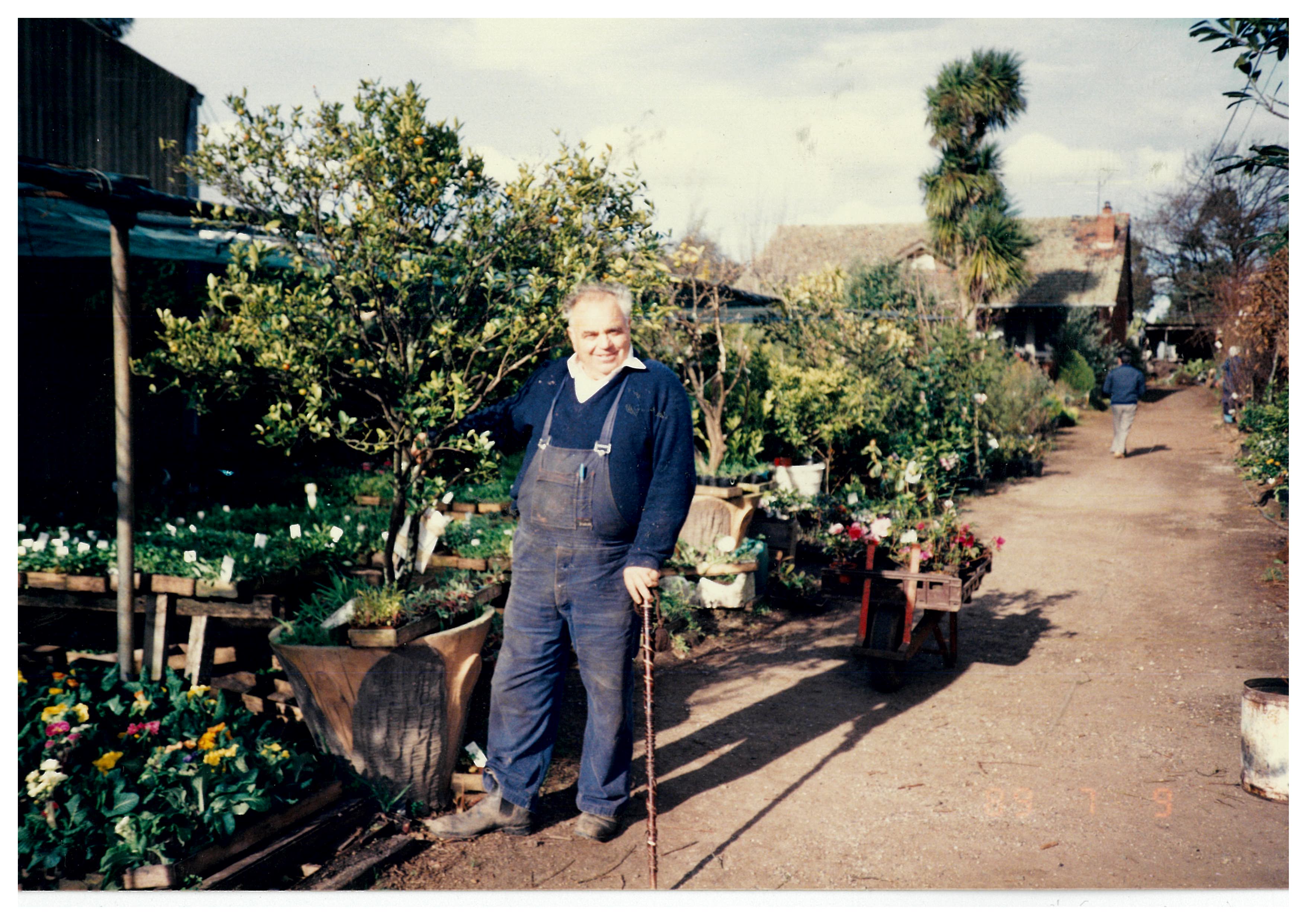 Historic photo of Presti Nursery