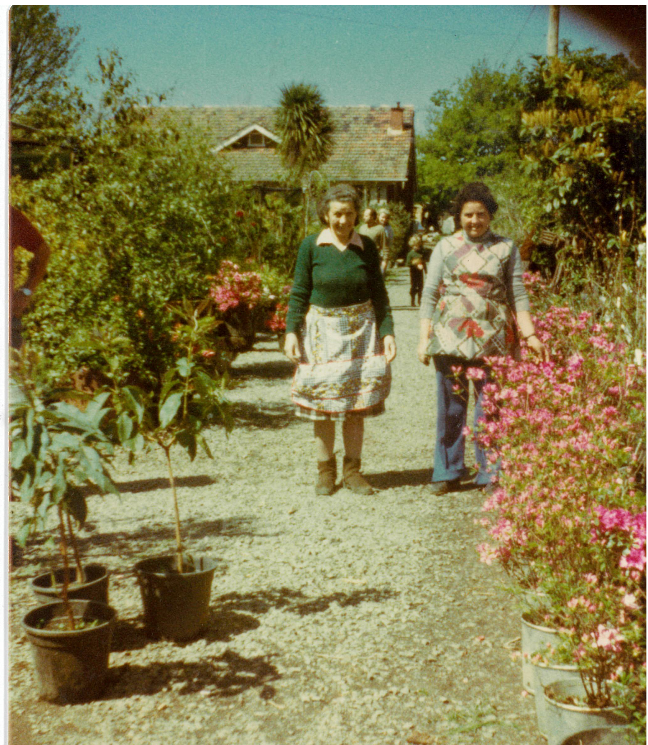 Historic photo of Presti Nursery