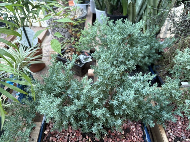 Plants and displays at Presti Nursery
