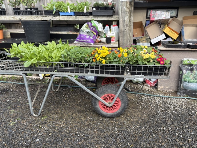 Plants and displays at Presti Nursery