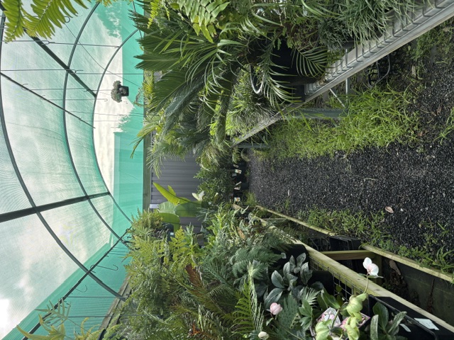 Plants and displays at Presti Nursery