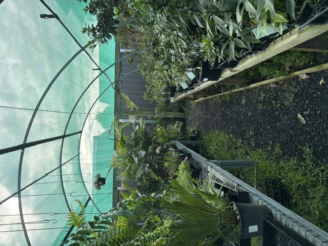 Plants and displays at Presti Nursery