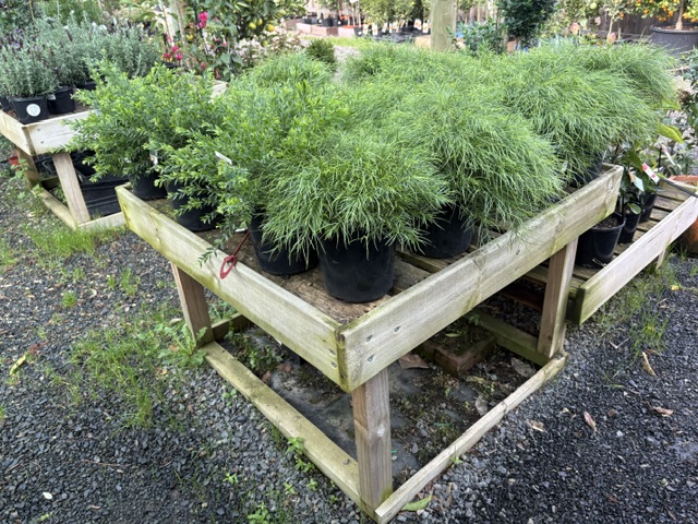 Plants and displays at Presti Nursery