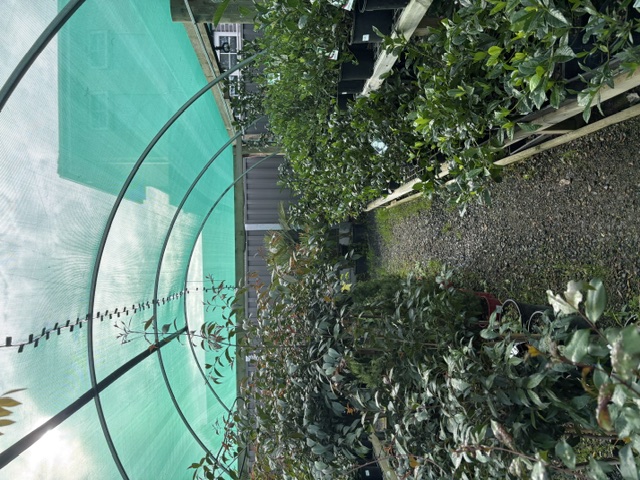 Plants and displays at Presti Nursery