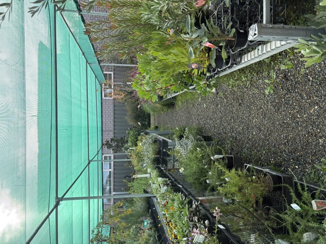 Plants and displays at Presti Nursery