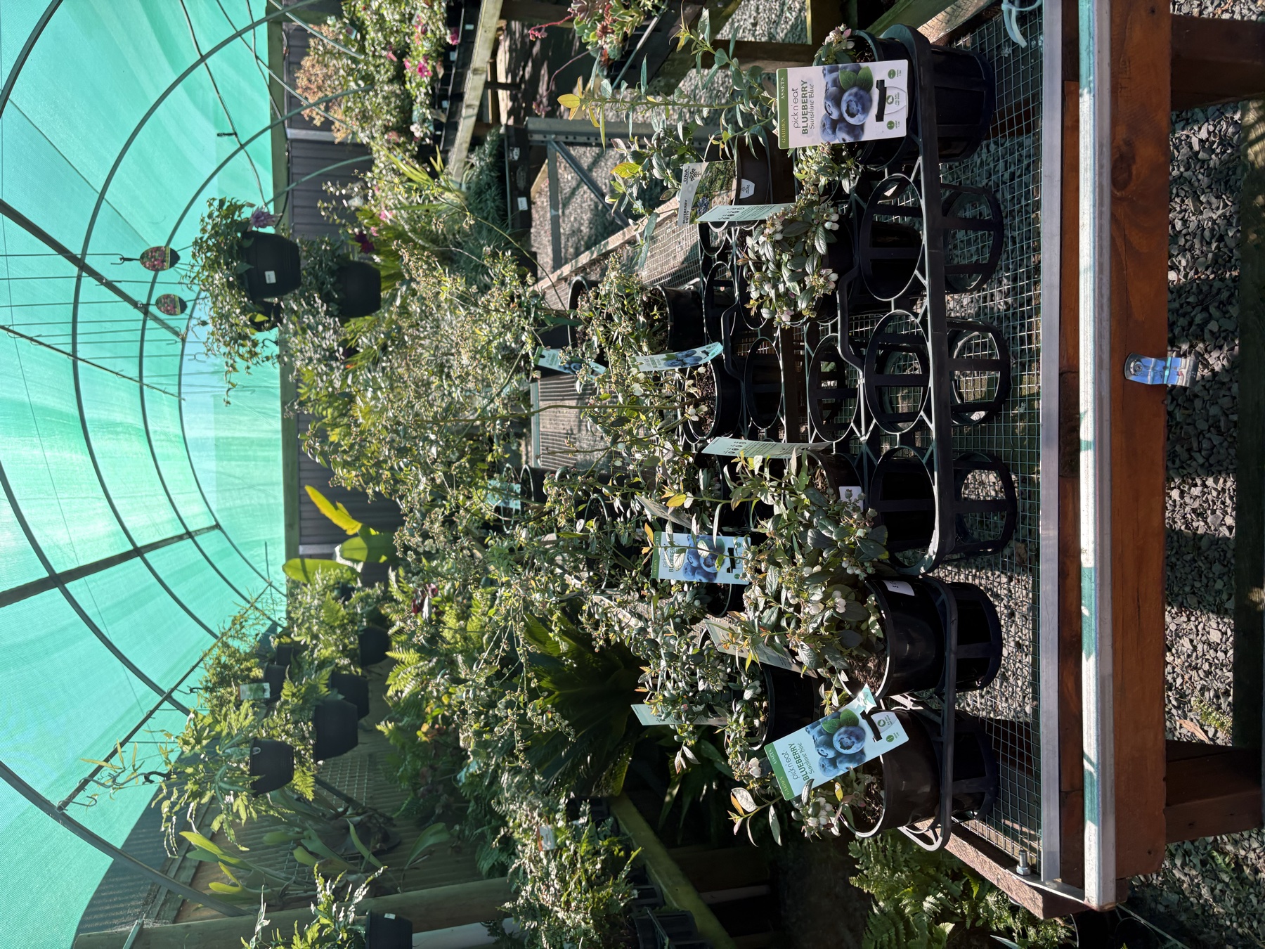 Presti Nursery plants
