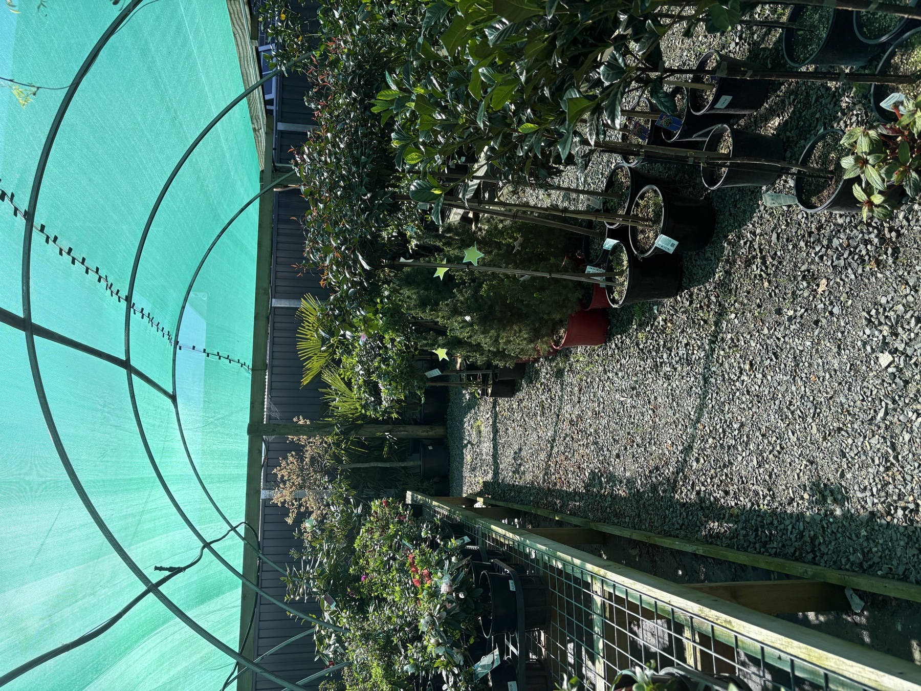 Presti Nursery plants
