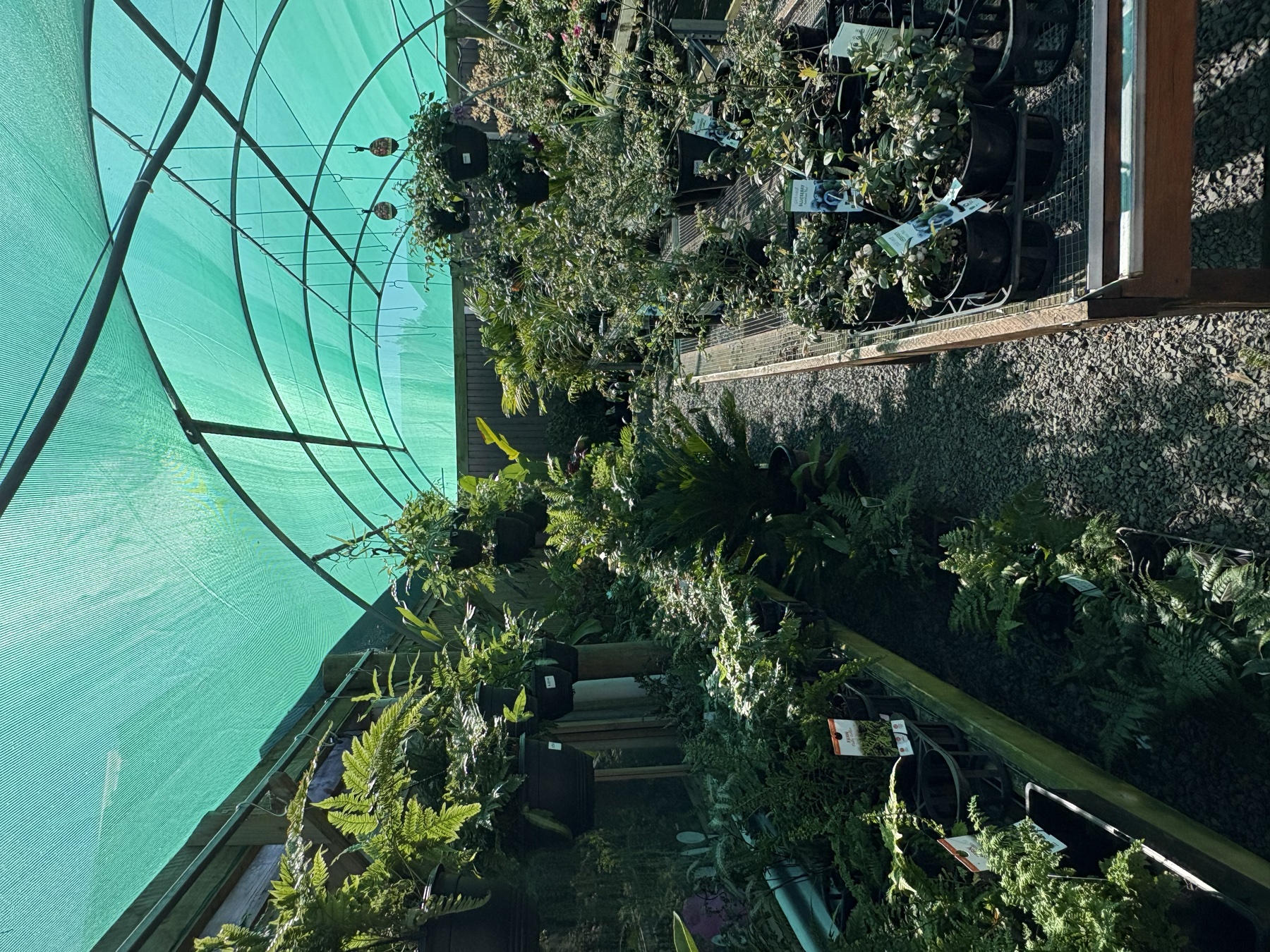 Presti Nursery plants