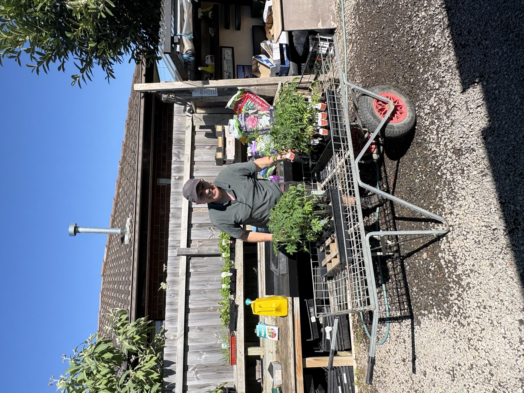 Presti Nursery plants