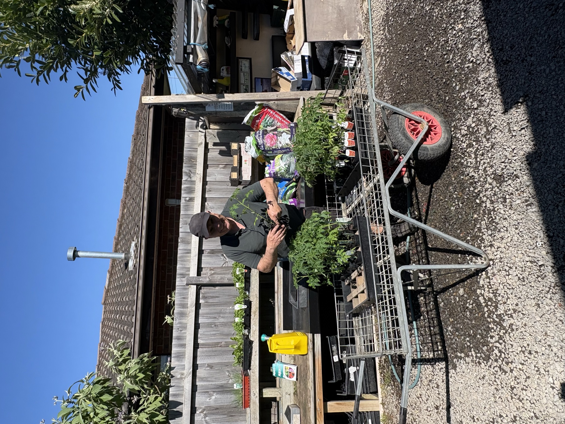 Presti Nursery plants