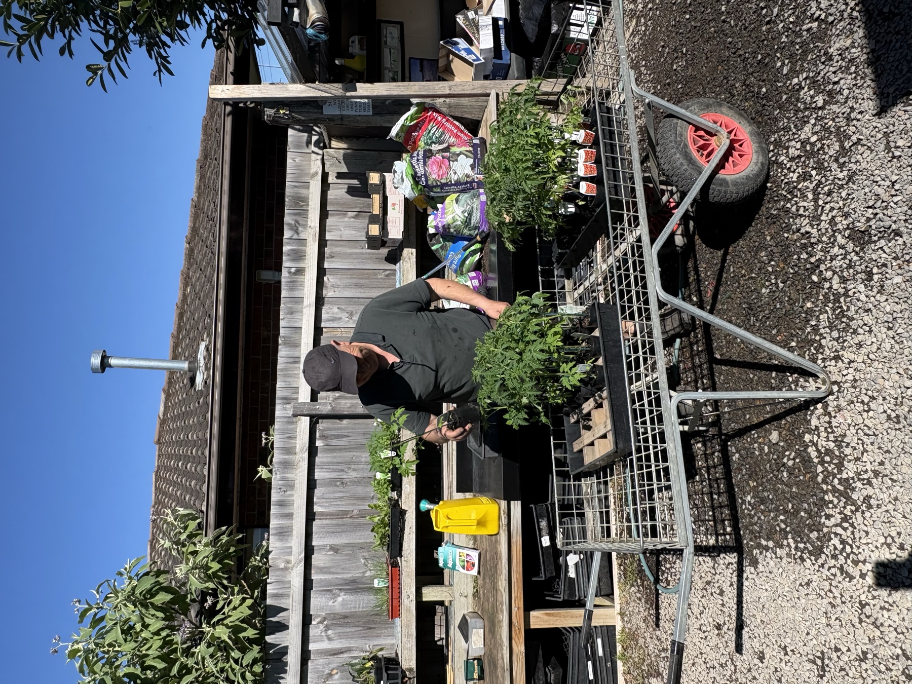 Presti Nursery plants