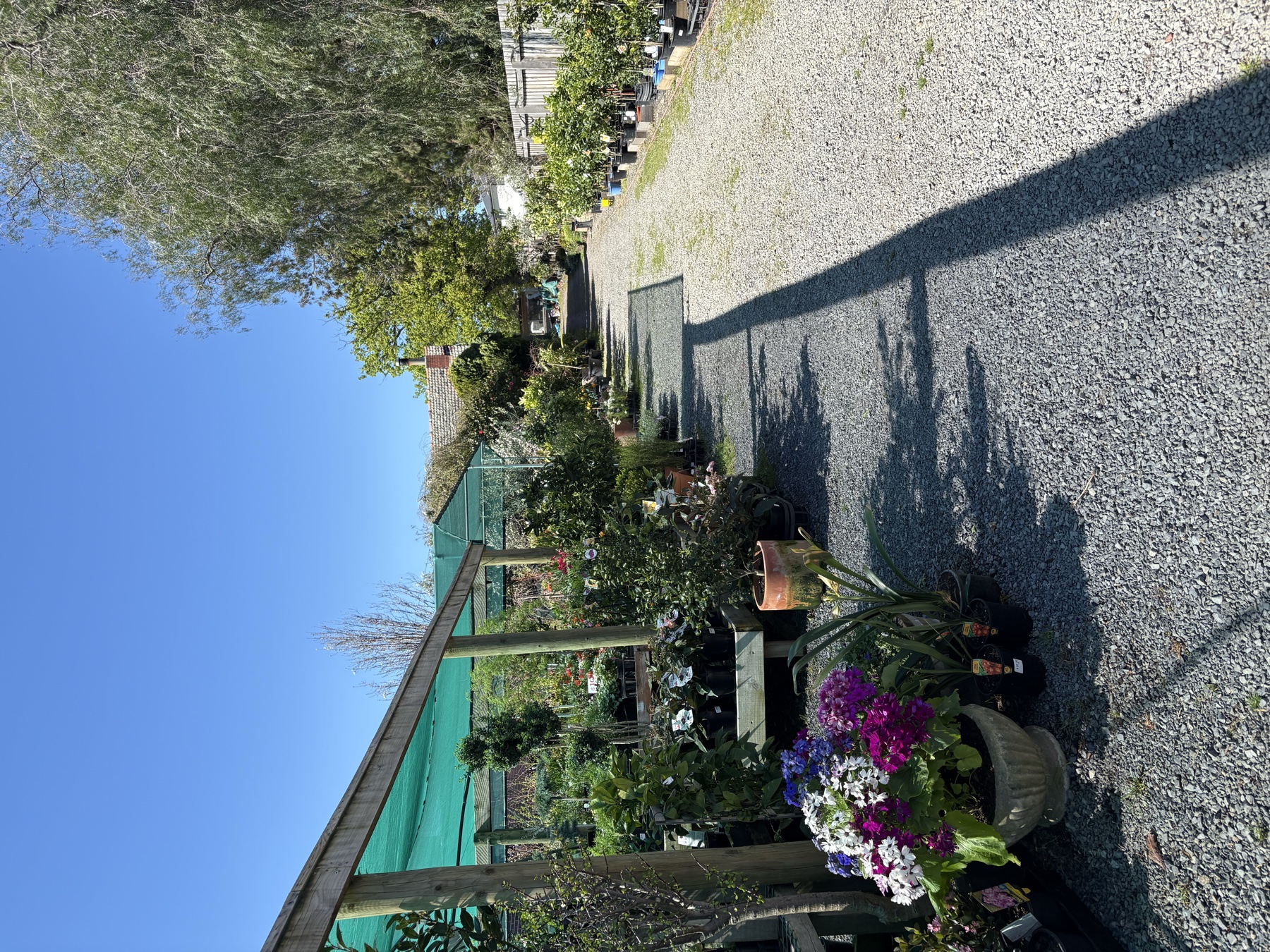 Presti Nursery plants