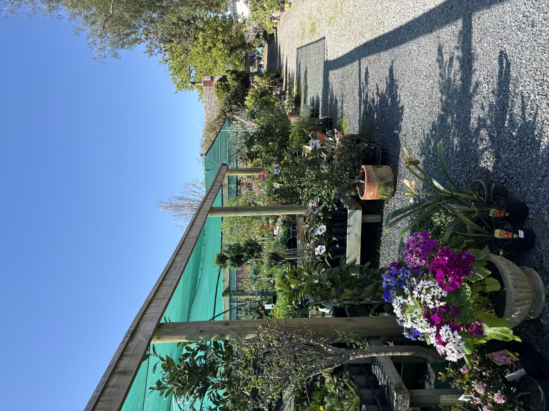 Presti Nursery plants